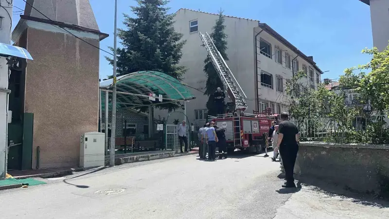 Kütahya’da ağaca takılan serçe itfaiye ekiplerince kurtarıldı