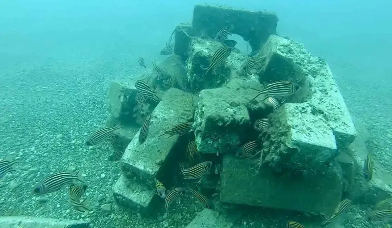 Denize düşen beton ağırlıklardan yapay resif oluşturdular