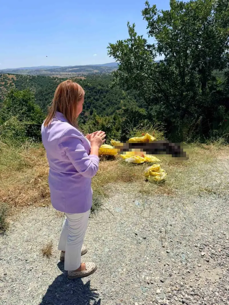 Başkan Tekin’den yol kenarına bırakılan hayvan leşine sert tepki