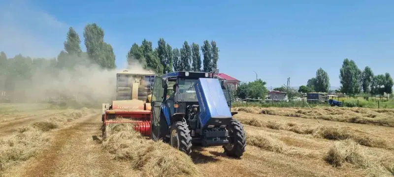 Hasköy’de çiftçilerin kışlık yem mesaisi sürüyor