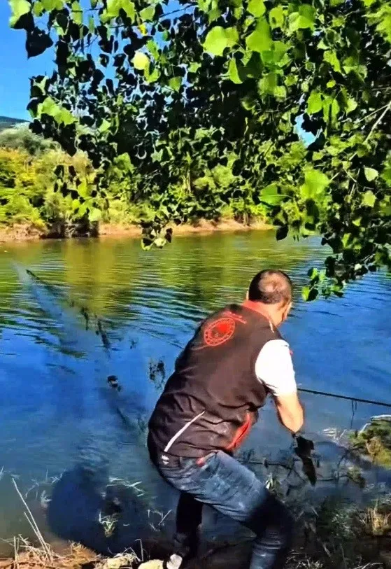 Sakarya’da nehir ve göletlerdeki kaçak ağlar tek tek toplanıyor