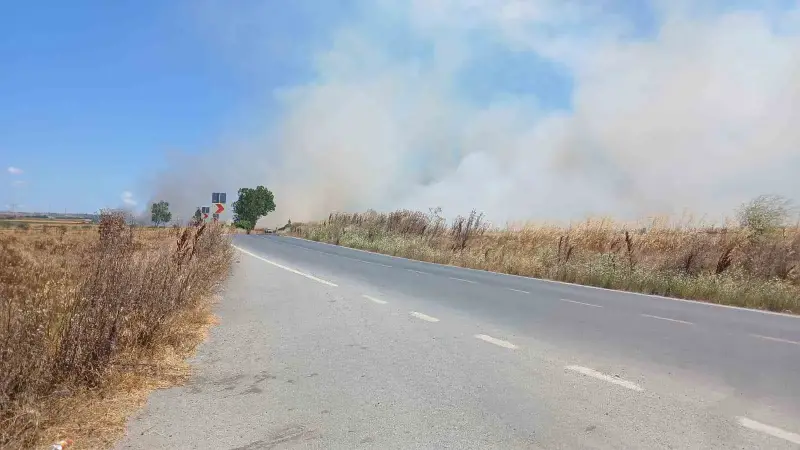 Silivri’de korkutan tarla yangını: Polis vatandaşları uyardı