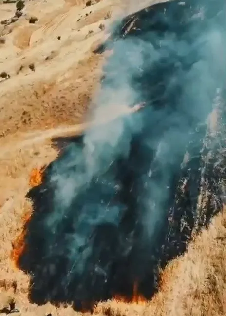 Buğday tarlası yangında zarar gördü