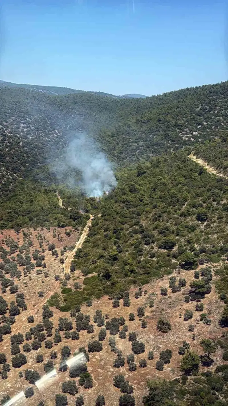 Milas Kazıklı Koyu’nda makilik alanda yangın çıktı