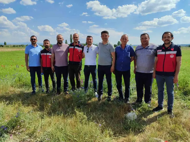 Kütahya’da çörek otu üretimi yakından takip ediliyor