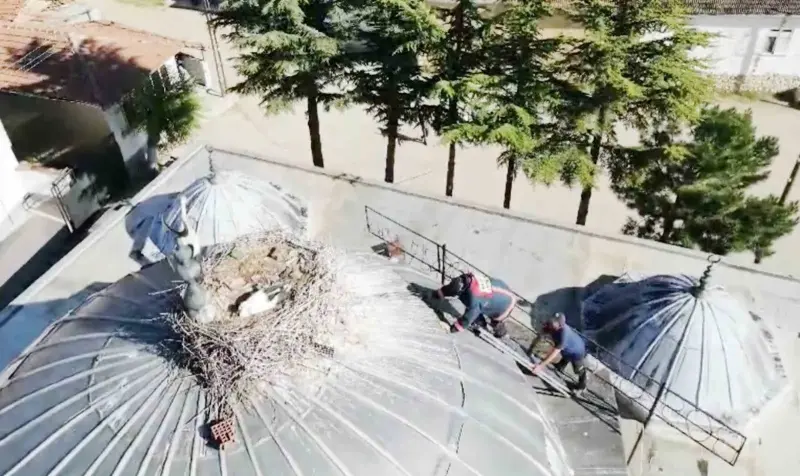 Ayağı yuvasındaki ipe takılan yavru leyleği itfaiye kurtardı