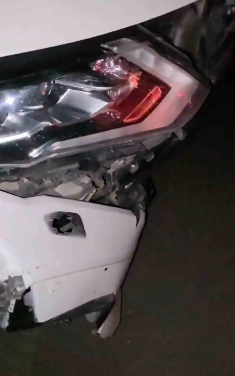 Elazığ’da otomobil domuz sürüsüne çarptı