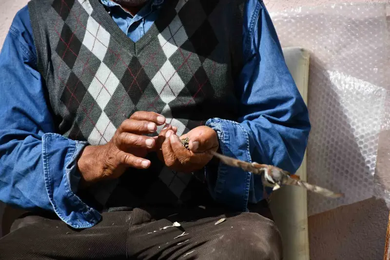 Kırdığı çekirdeklerle kuşlara sofra kuruyor
