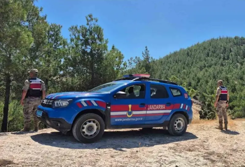 Kilis’te orman yangınlarına karşı jandarmadan denetim
