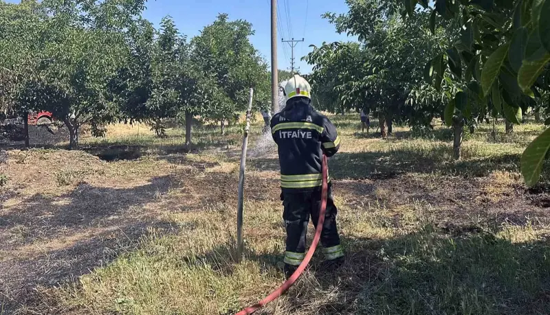 Arazi yangınları büyümeden söndürüldü