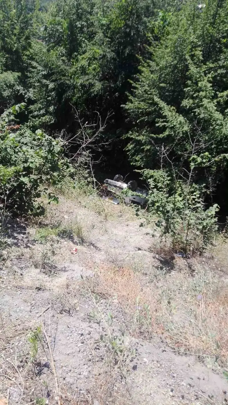 Ormanlık alana uçan otomobildeki 3 kişi yaralandı