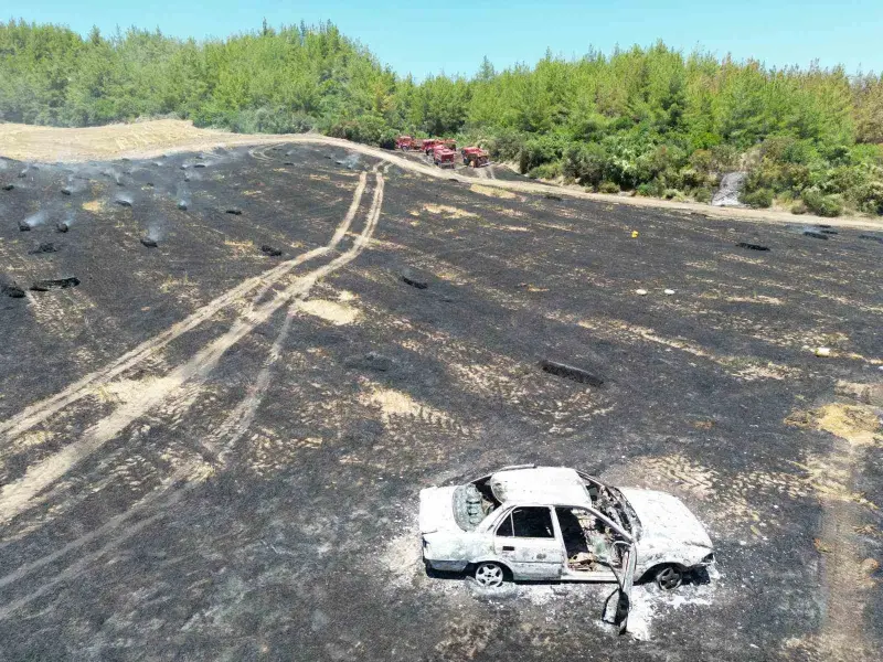 Otomobilde çıkan yangın ormana sıçradı