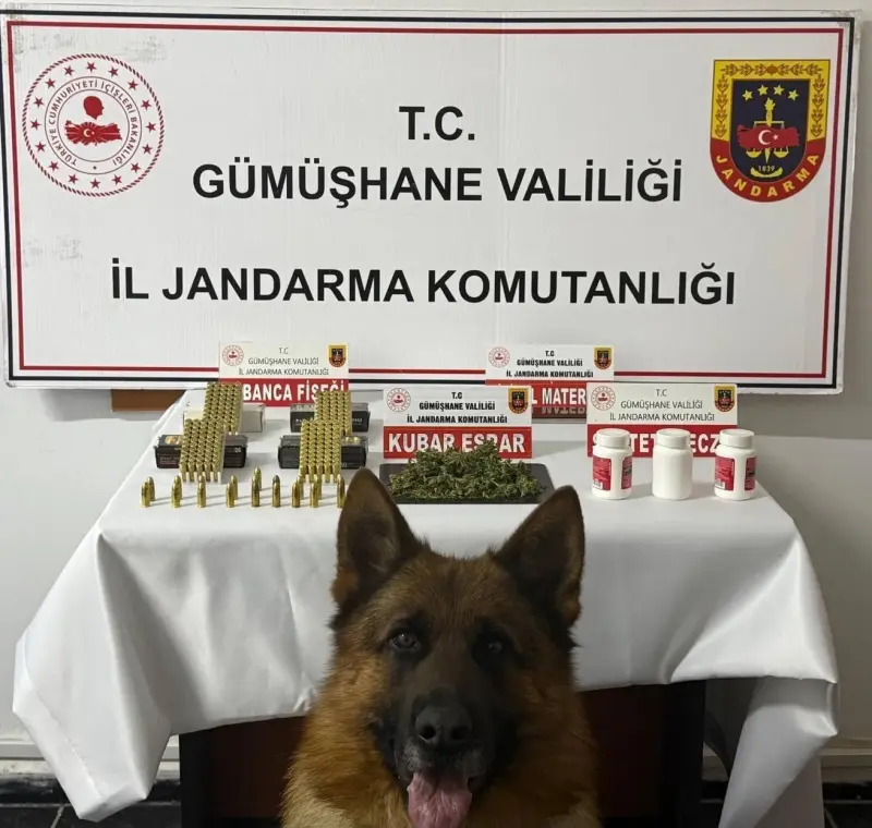 Gümüşhane’de uyuşturucu operasyonu
