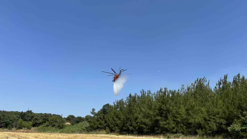 Çanakkale’de tarım arazisinde yangın