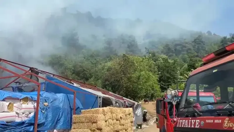 Bursa’da ormanlık alanda yangın