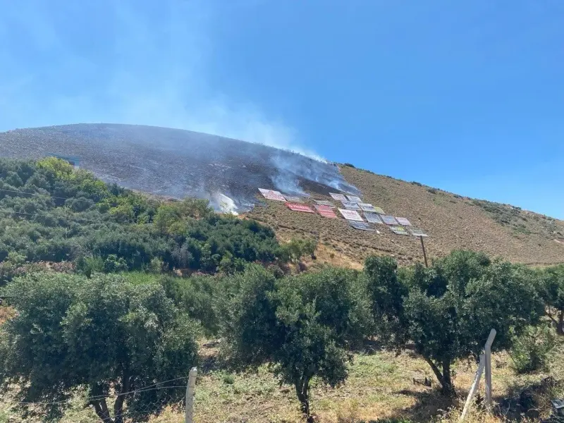 Hatay’da çıkan orman yangını büyümeden söndürüldü