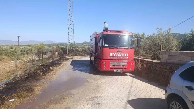 Gaziantep’te zeytinlik alanda yangın
