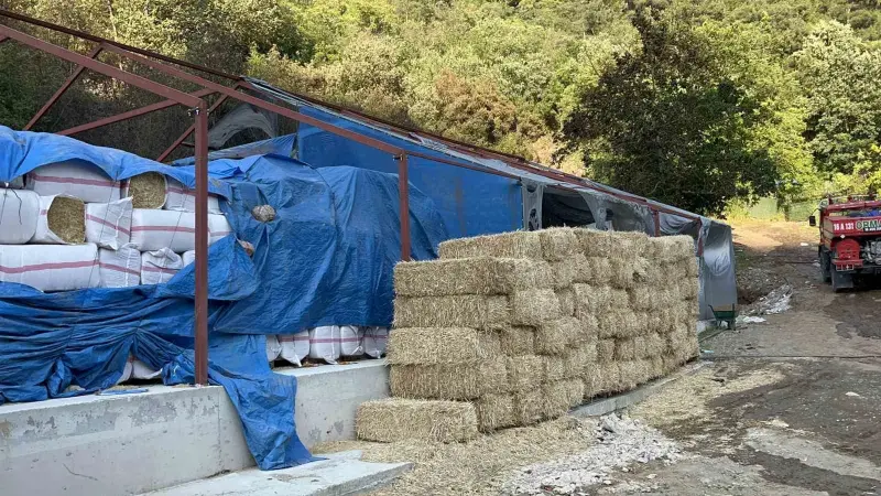Bursa’da ormana sıçrayan yangın kontrol altına alındı