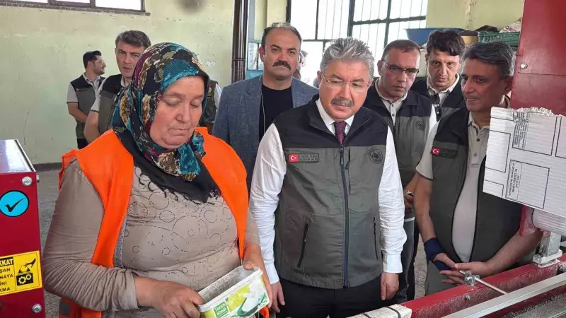 Eskişehir’den yangın bölgelerine gönderilen milyonlarca fidan ’nefes’ olacak