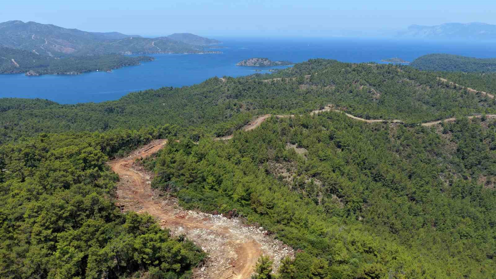 Muğla ve Aydın’da Orman yangın şerit yolu uzunluğu 2 bin kilometreye çıkıyor