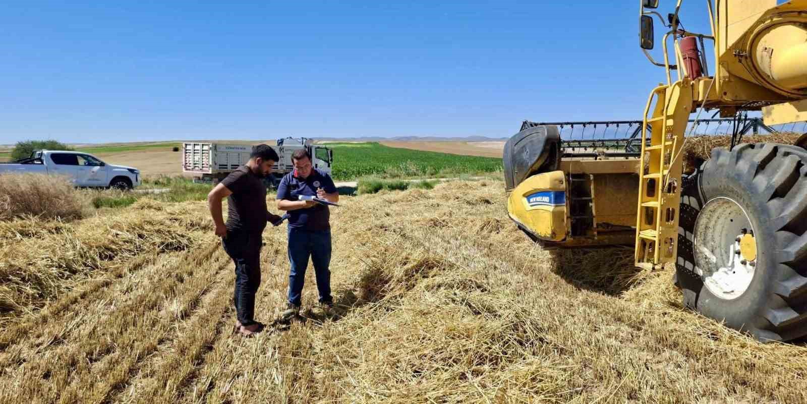 Afyonkarahisar’da hububat hasadı başladı