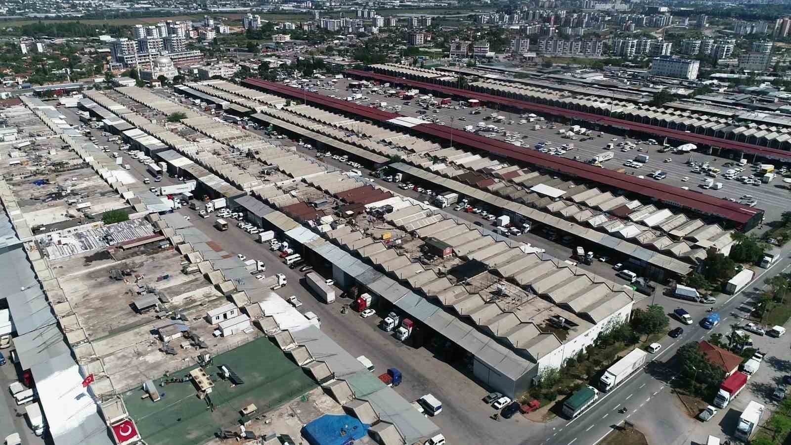 Antalya’da haziranda domates ve meyvede işlem miktarı arttı