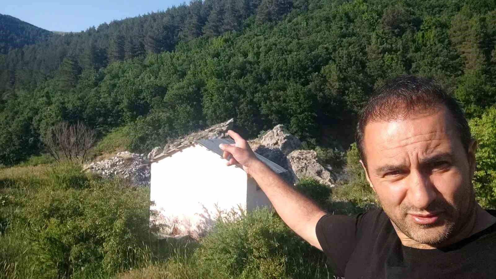 Anne ayı ve 3 yavrusu arazide görüntülendi