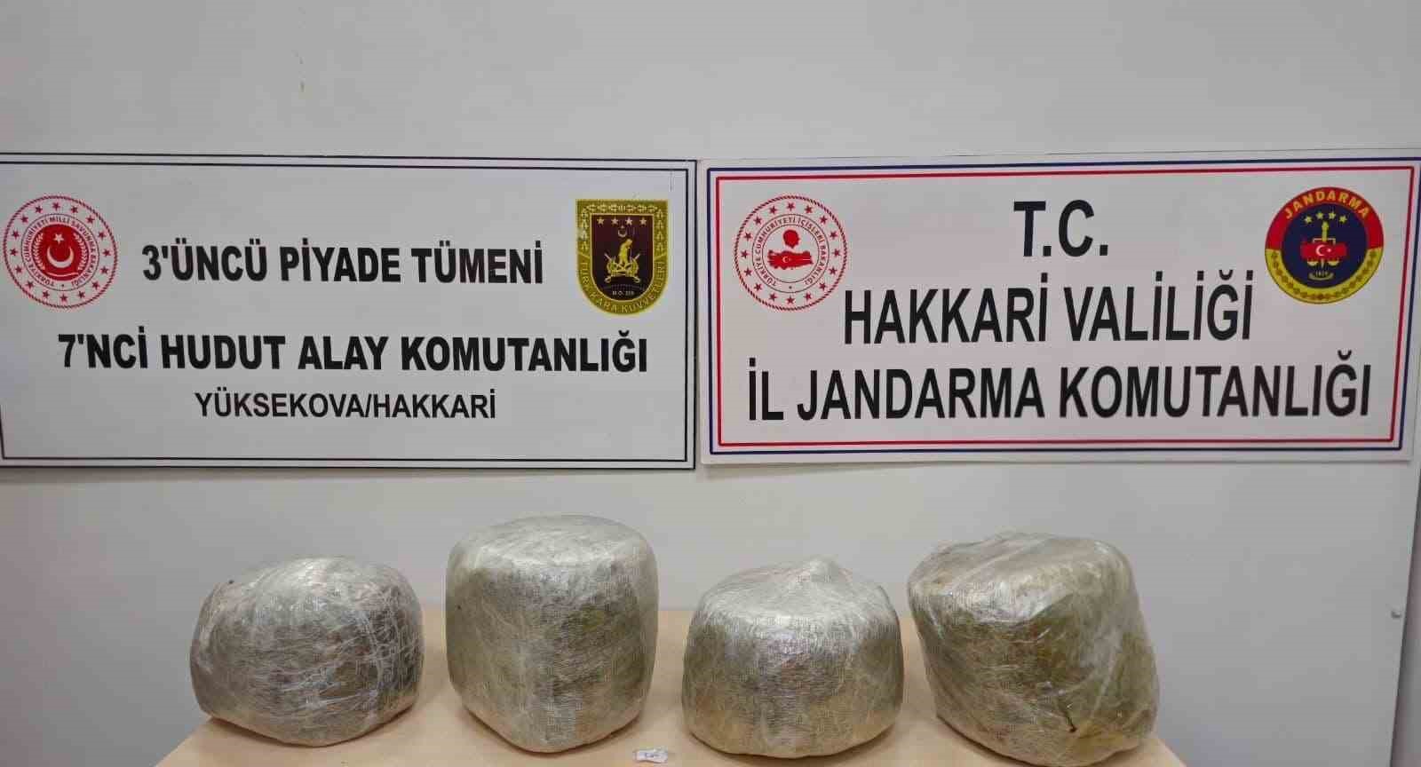 Yüksekova’da 11 kilo skunk ele geçirildi