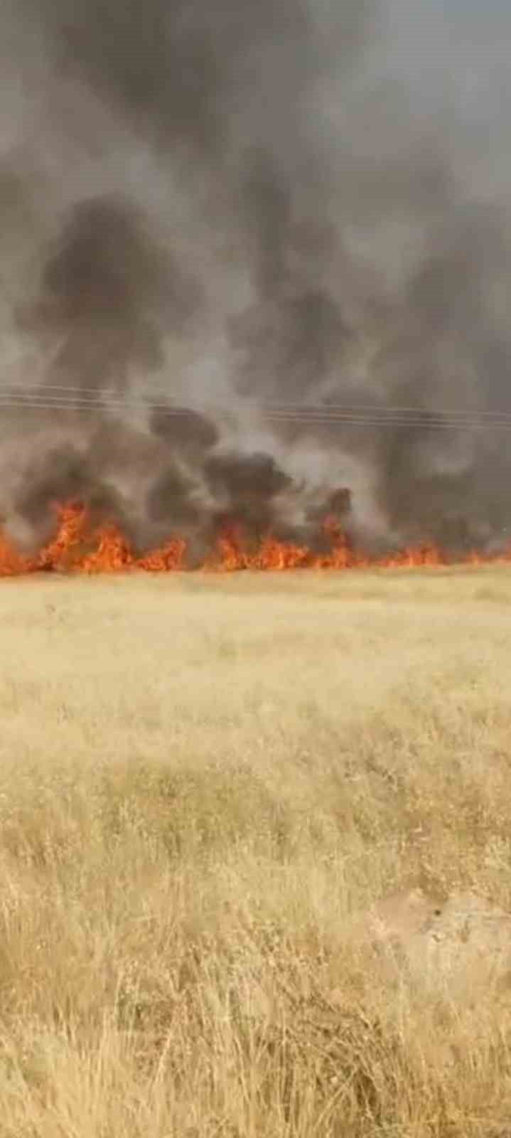 Şanlıurfa’da 45 dönüm buğday ekili alan yandı
