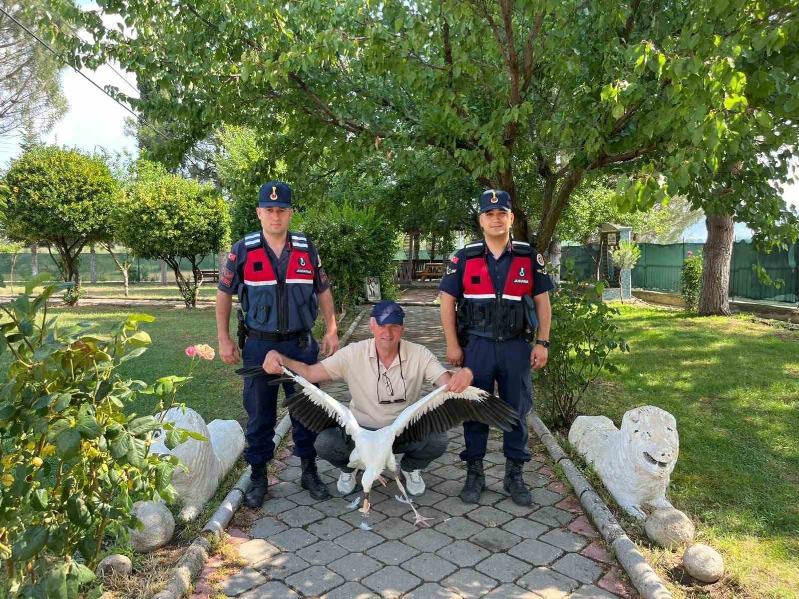 Yaralı leylek için seferber oldular