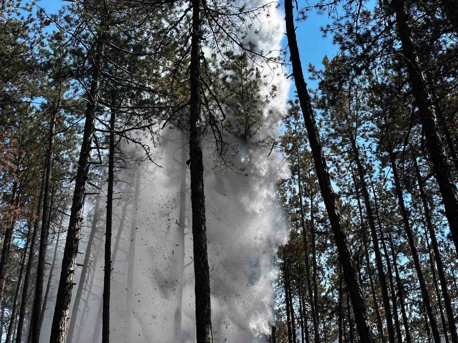 Kastamonu’da orman yangını: Alevlere havadan ve karadan müdahale edildi