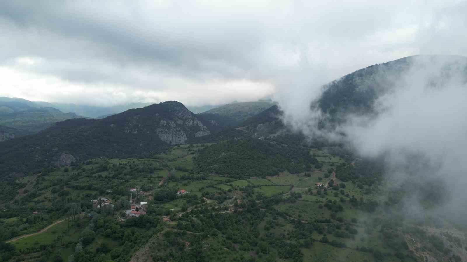 Amasya’da ormanlık alanlara girişler yasaklandı