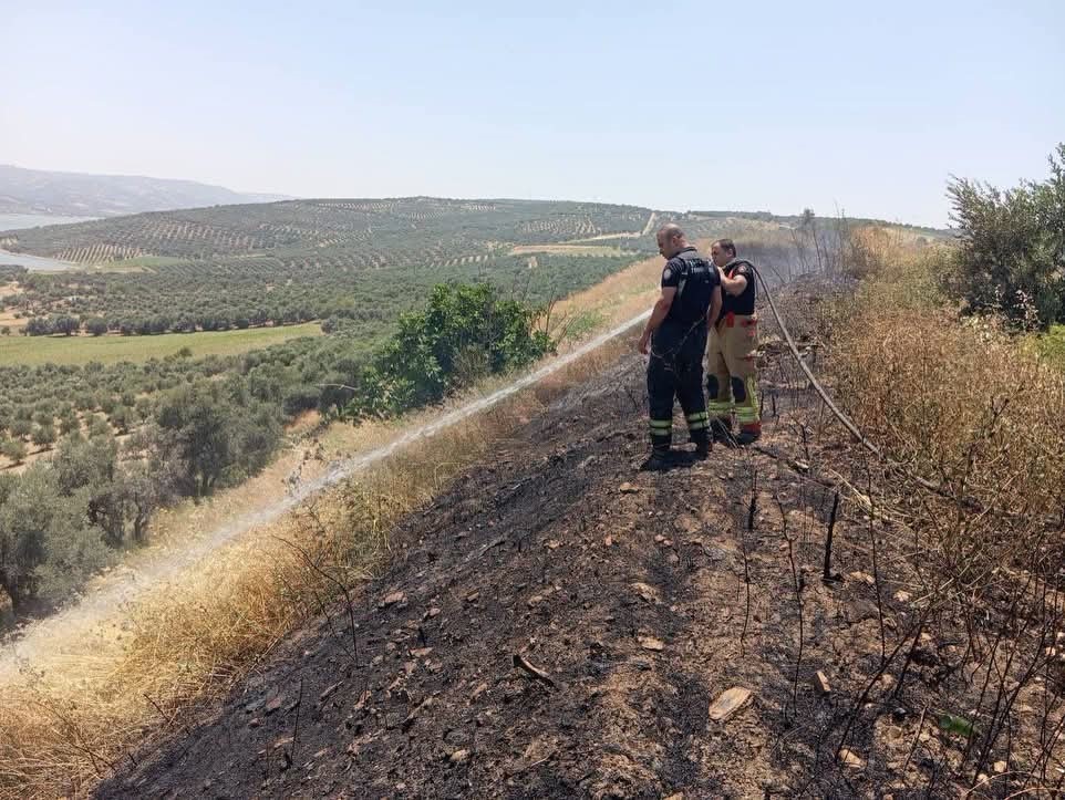 Altınözü’de anız yangını