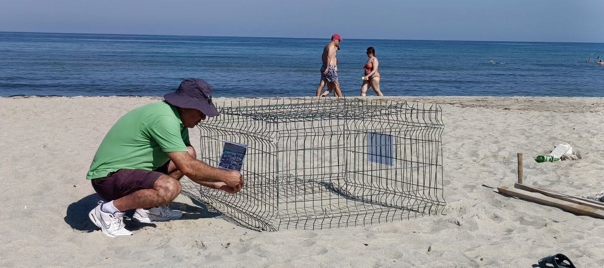 Duyarlı gençlerin ihbarı sayesinde, caretta yuvası koruma altına alındı