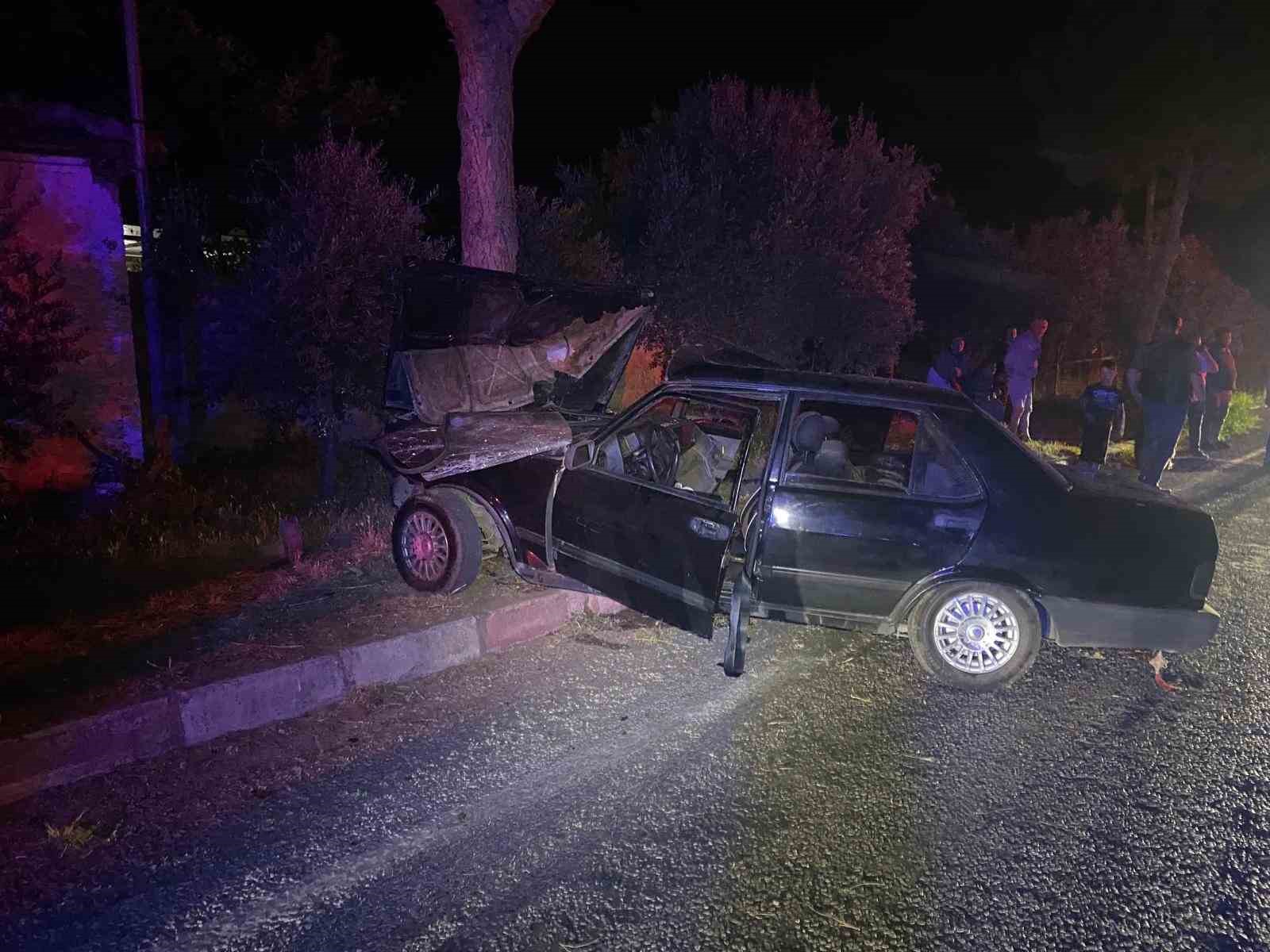 Sokak köpeğinden kaçmak isteyen otomobil ağaca çarptı: 1’i ağır 2 yaralı