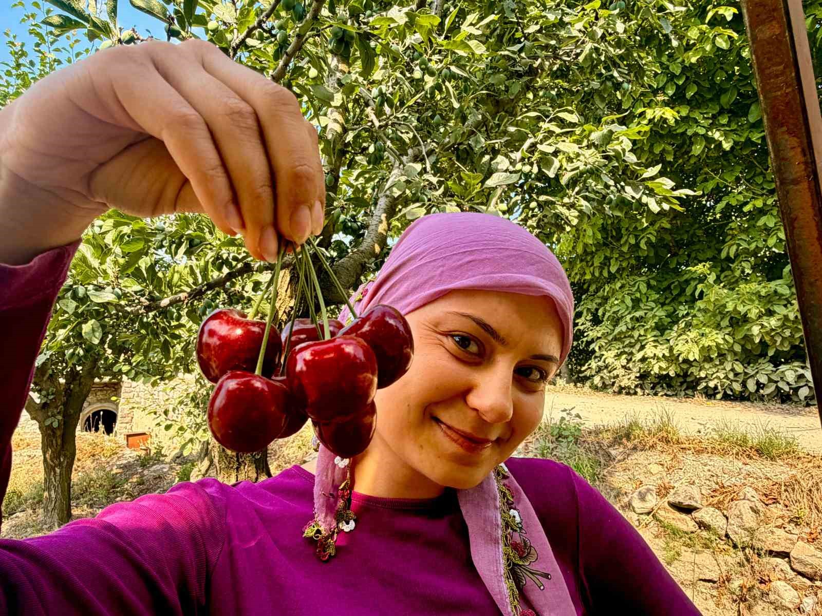 İhracatlık kirazda hasat dönemi başladı