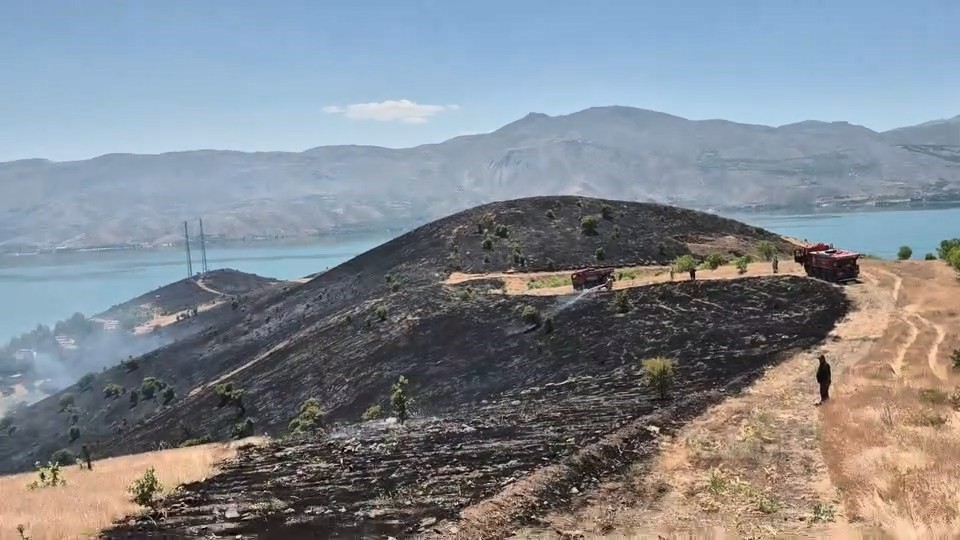 Elazığ’da çıkan arazi yangını söndürüldü