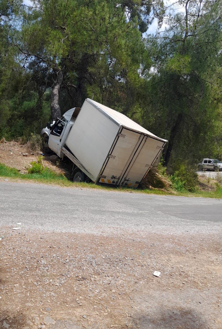Alanya’da kamyonet ağaca çarptı: 1 ölü, 1 ağır yaralı