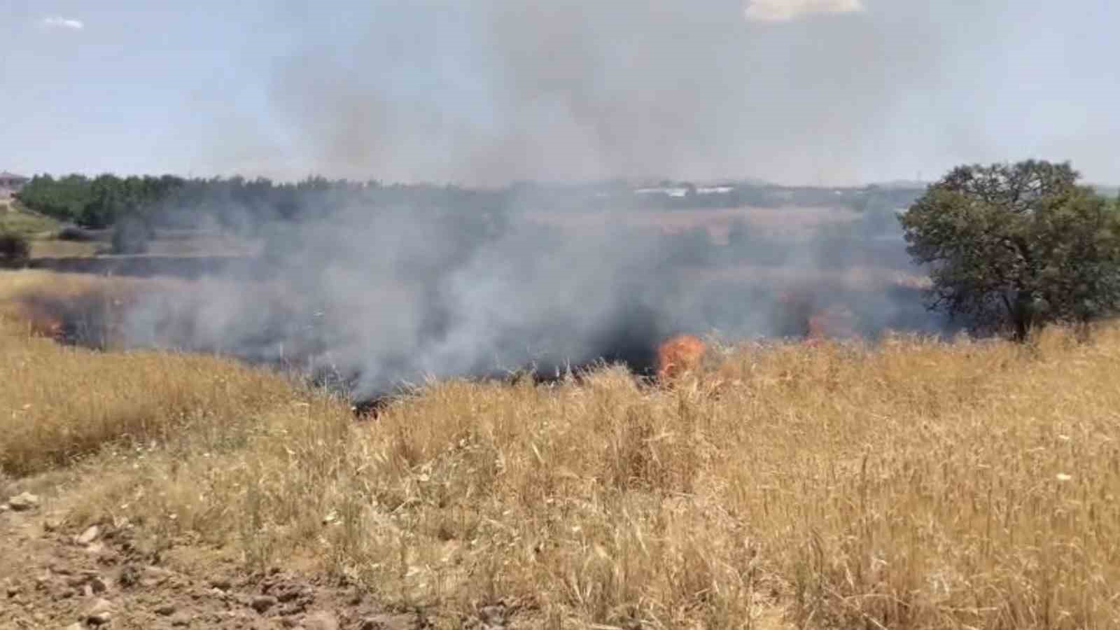 Elazığ’da arazi yangını ekiplerin müdahalesi sürüyor