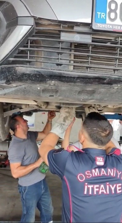Osmaniye’de otomobilin motoruna sıkışan yavru kedi kurtarıldı