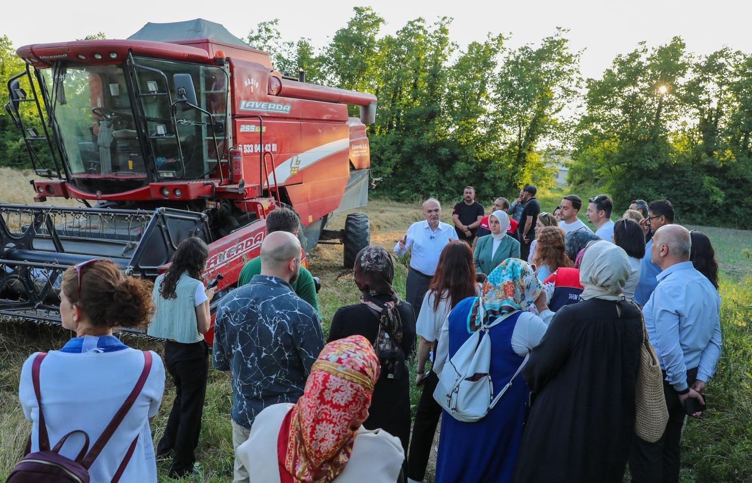 Düzce’de ilk kez yetişen siyez buğdayının hasadı yapıldı