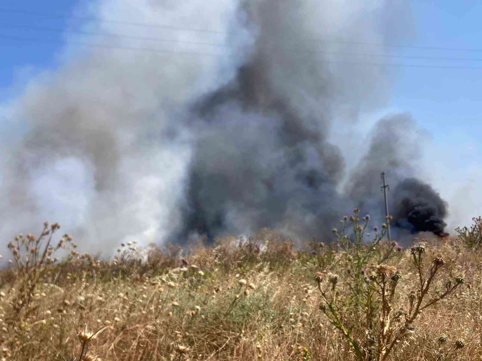 Bandırma’da otluk alanda çıkan yangın söndürüldü