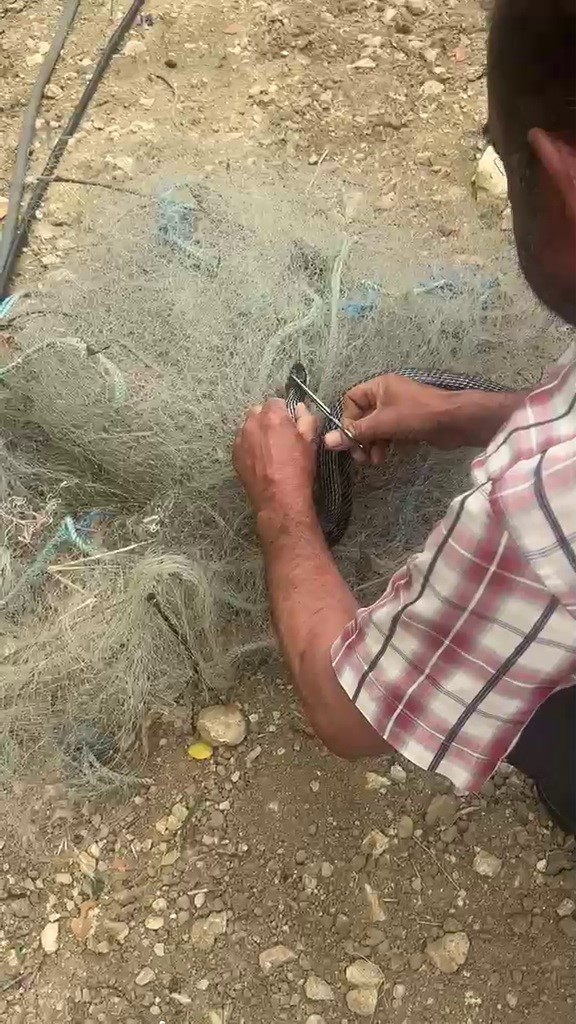 Balık ağında mahsur kılan yılanı elleriyle kurtardı