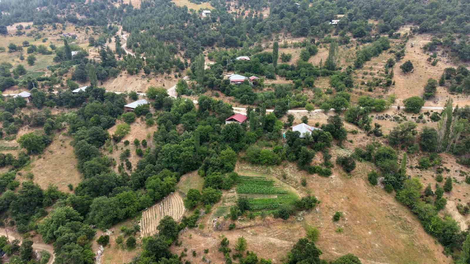 Feke’nin dağ köyünde sarı kantaron ve kekik geleneksel yöntemlerle şifa kaynağına dönüşüyor