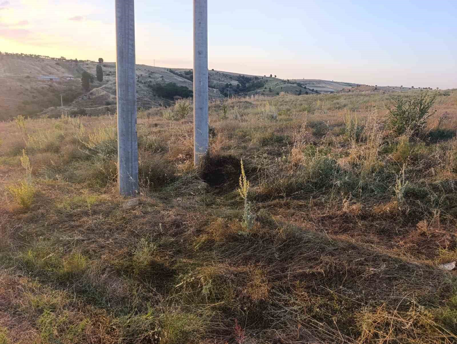 Bilecik’te elektrik akımına kapılan kuş yangına sebep oldu
