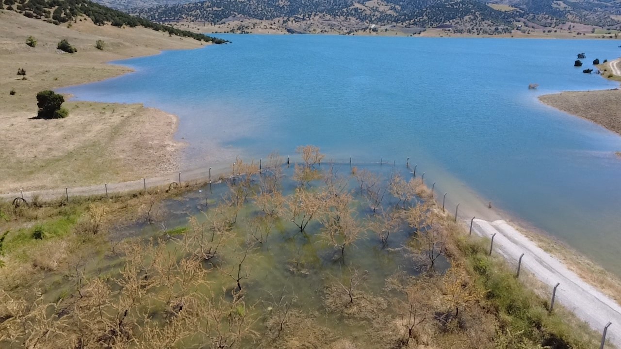 Yozgat’ta badem ağaçları sular altında kaldı