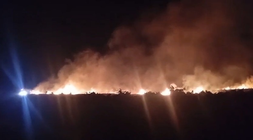 Gaziantep’te korkutan anız yangını
