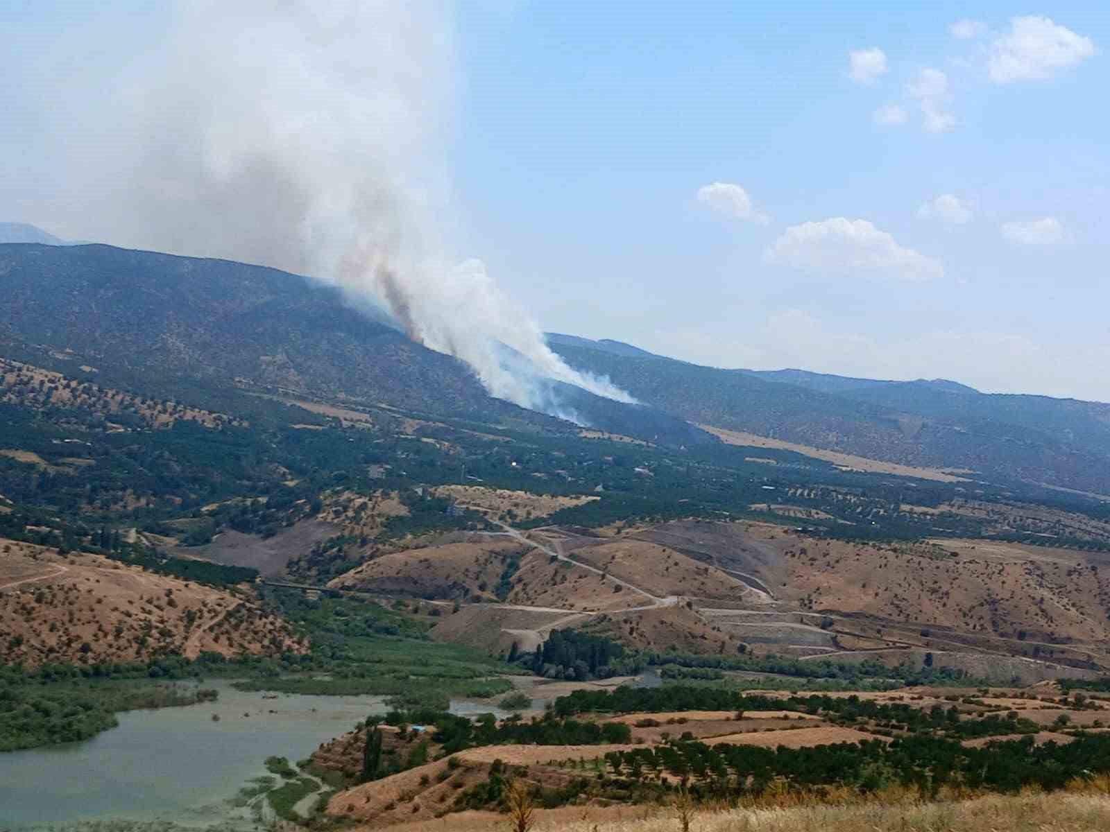 Pütürge’de orman yangını