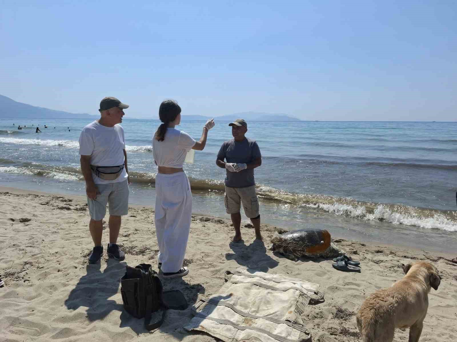 Üremek için geldikleri kıyılarda 3 caretta caretta ölü bulundu