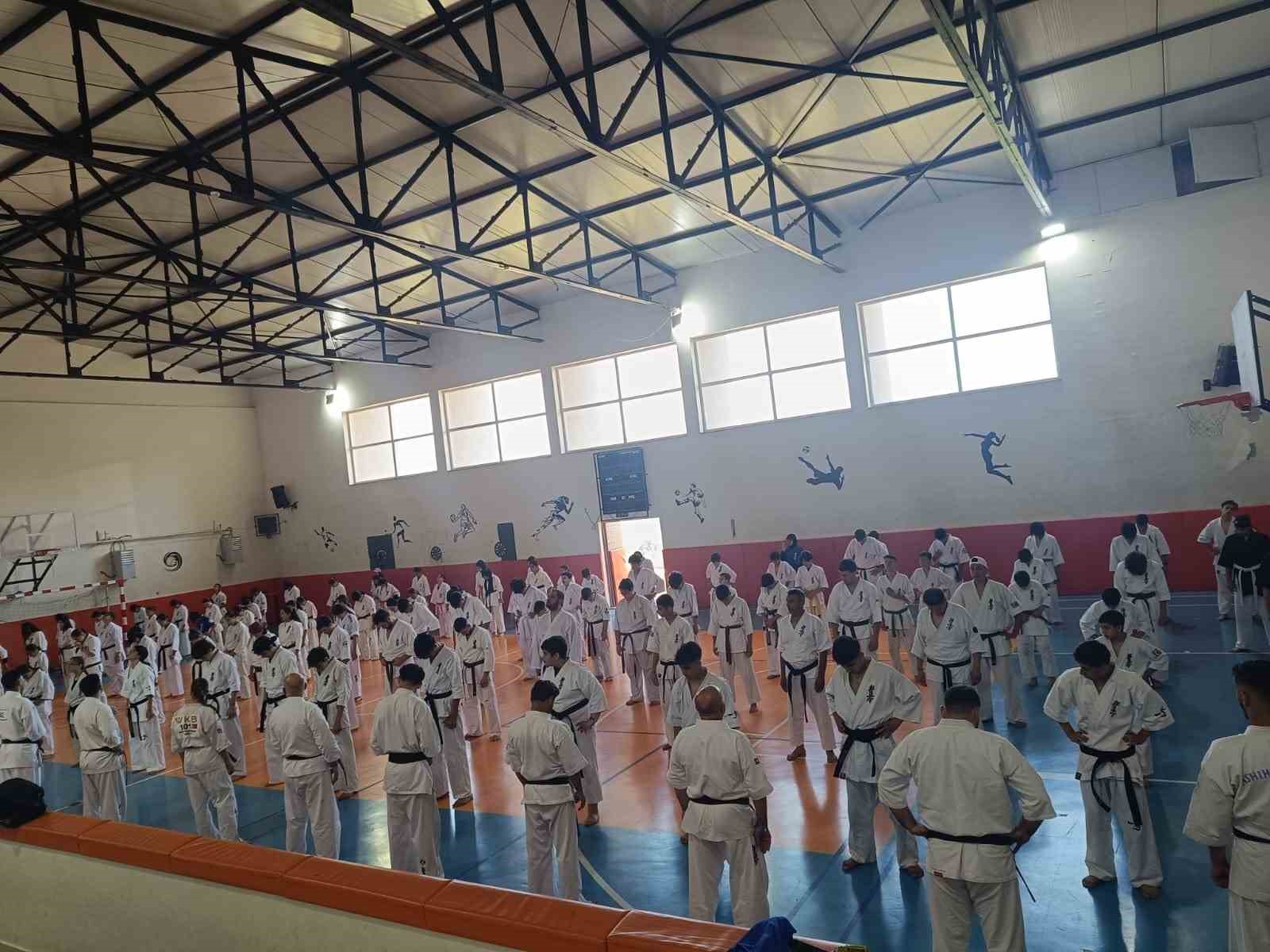 Kütahya Pazarlar’da 200 sporcu Kyokushin-Kan Türkiye Yaz Gelişim Kampı’nda buluştu